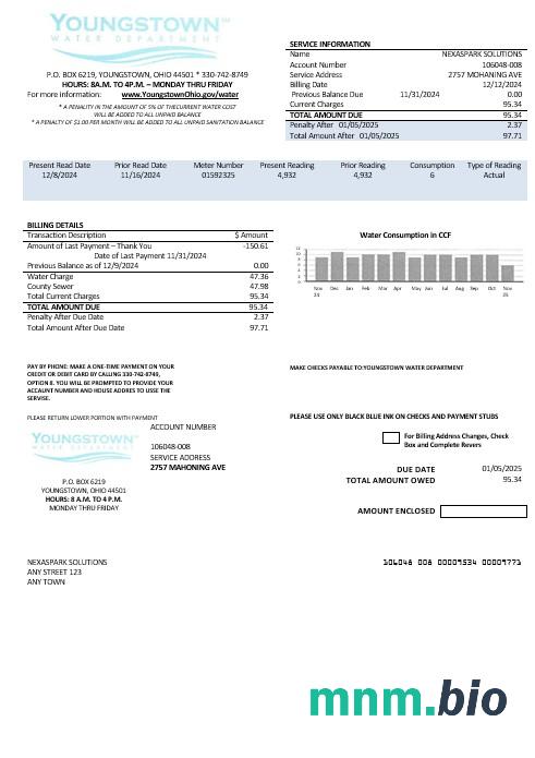 USA Youngstown Water Department rachunek za usługi komunalne szablon w formacie Word i PDF